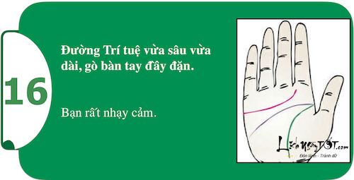 Kham pha suc manh ca tinh ngay trong long ban tay P1 hinh anh goc 16