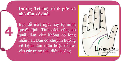 Kham pha suc manh ca tinh ngay trong long ban tay P1 hinh anh goc 4