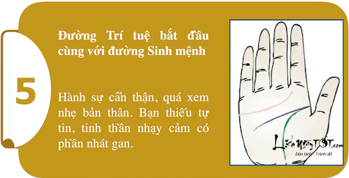 Kham pha suc manh ca tinh ngay trong long ban tay P1 hinh anh goc 5