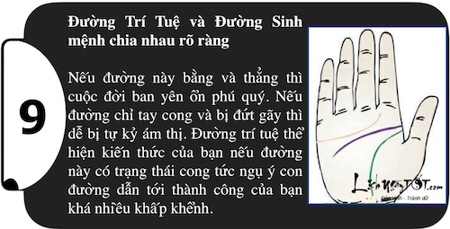 Kham pha suc manh ca tinh ngay trong long ban tay P1 hinh anh goc 9