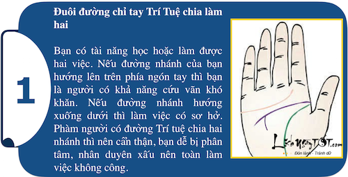 Kham pha suc manh ca tinh ngay trong long ban tay P1 hinh anh goc
