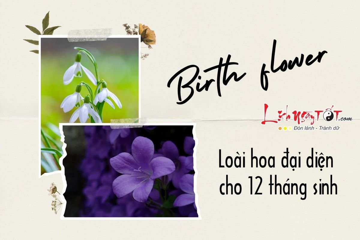 Loai hoa dai dien cho 12 thang sinh