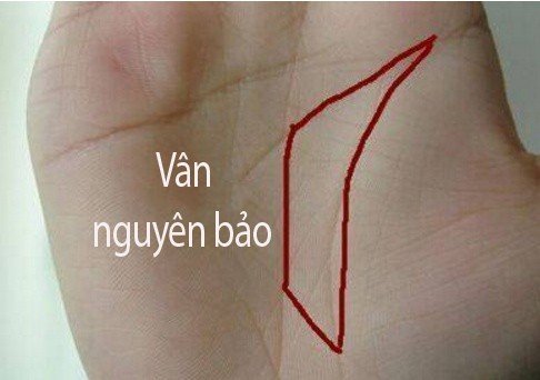 Long ban tay co hinh thoi vang 1