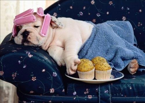 luoi bieng de thuong luoi bieng de thuong