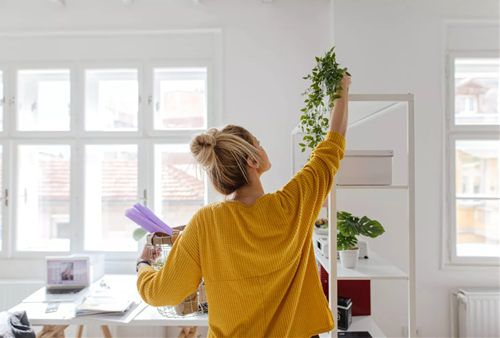 mẹo cải thiện vận may nửa đầu năm 2024 meo cai thien van may nua dau nam 2024