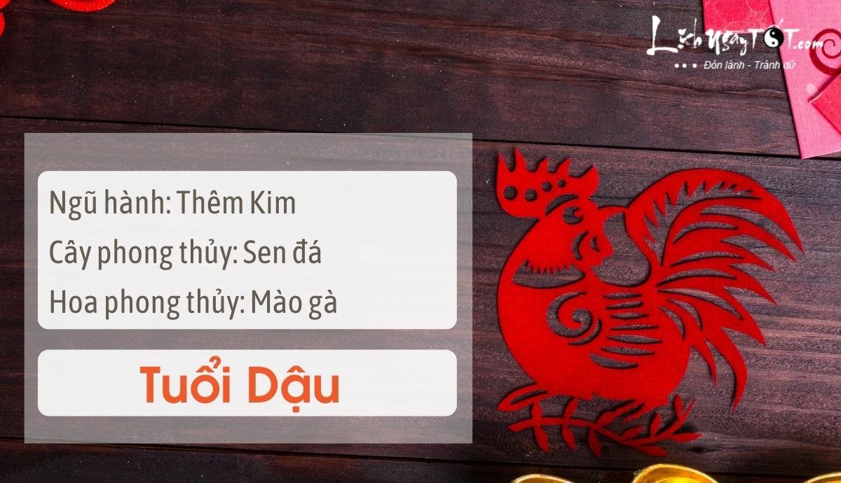 Meo phong thuy tang may man cho tuoi Dau