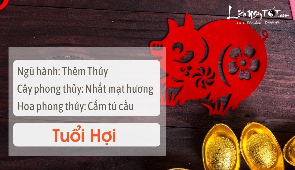 Meo phong thuy tang may man cho tuoi Hoi