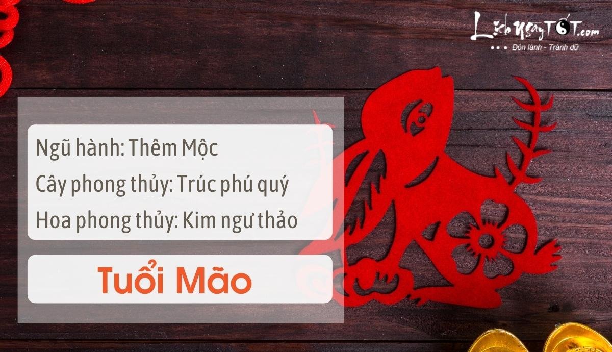 Meo phong thuy tang may man cho tuoi Mao