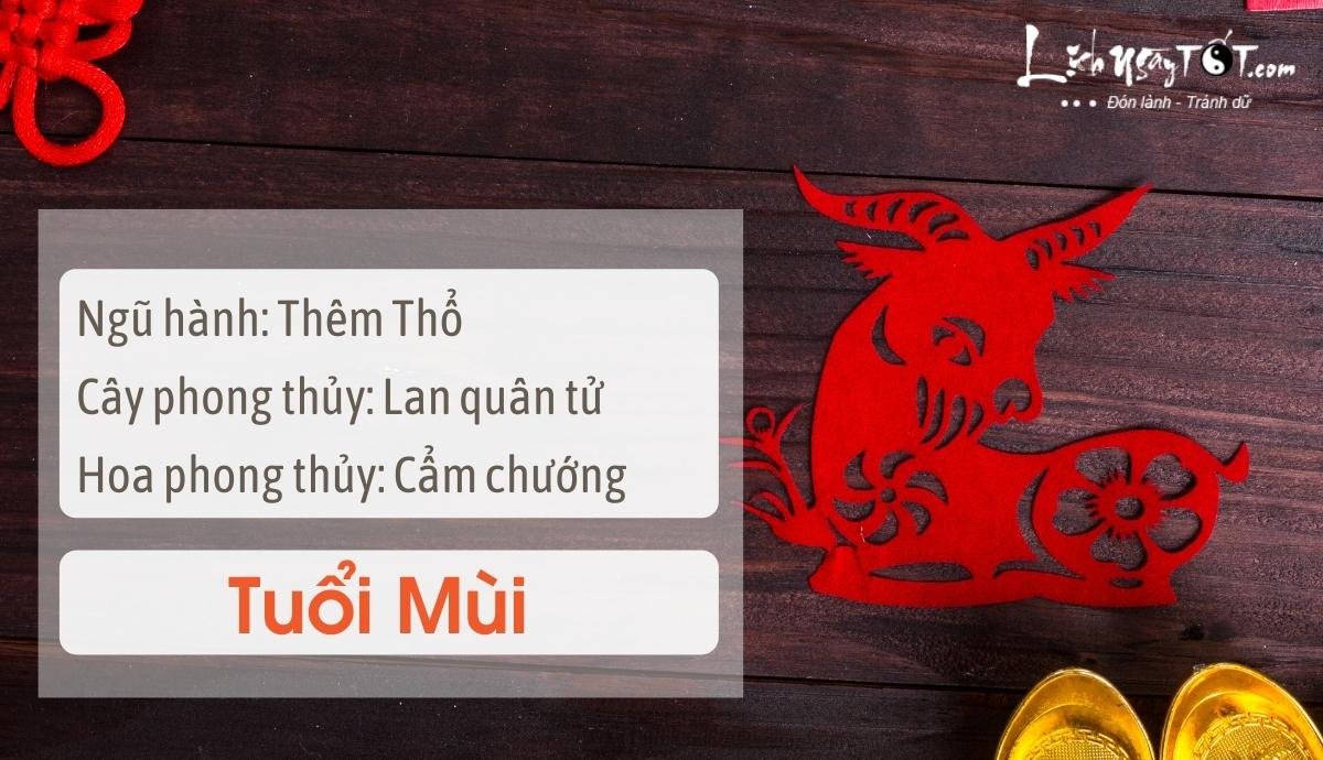 Meo phong thuy tang may man cho tuoi Mui
