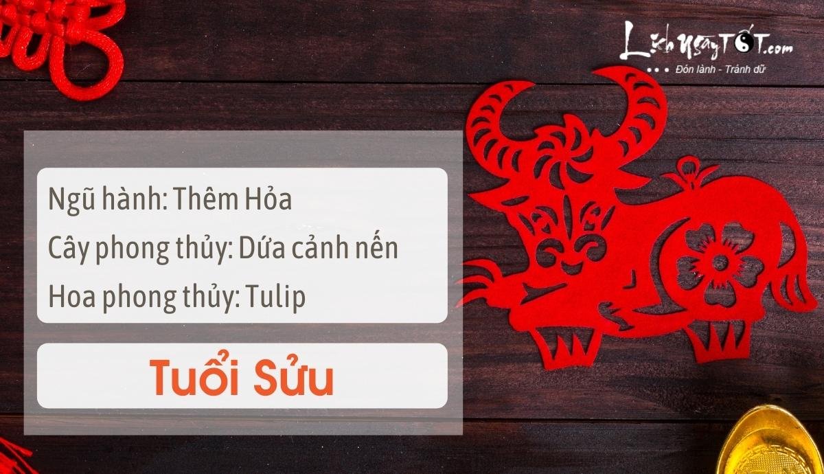 Meo phong thuy tang may man cho tuoi Suu