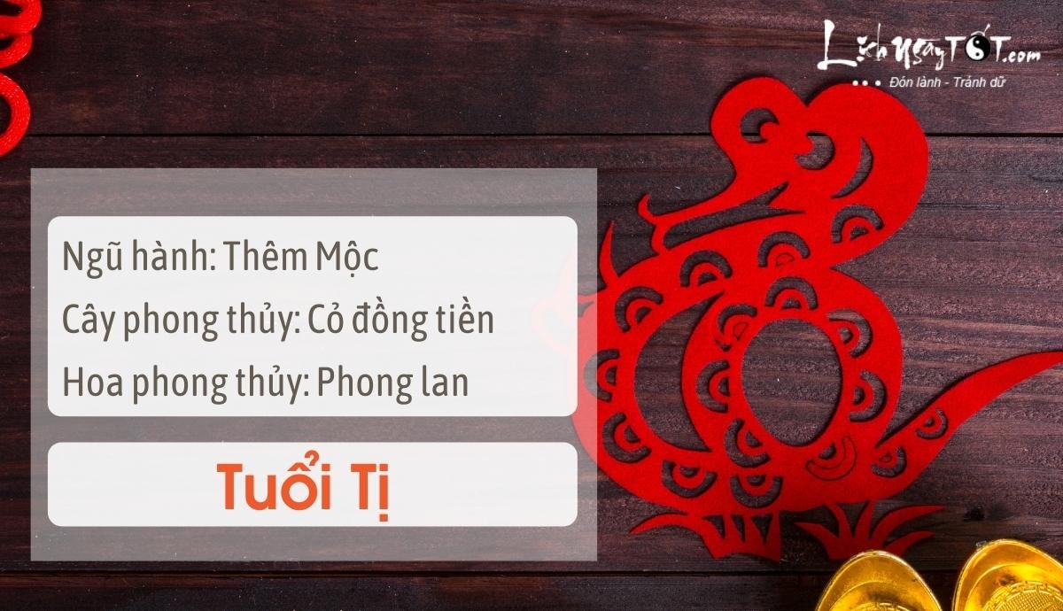 Meo phong thuy tang may man cho tuoi Ti