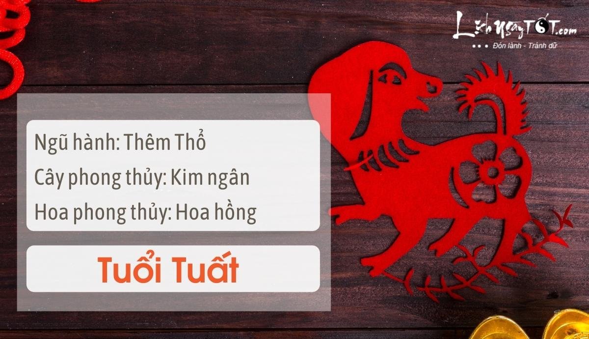 Meo phong thuy tang may man cho tuoi Tuat