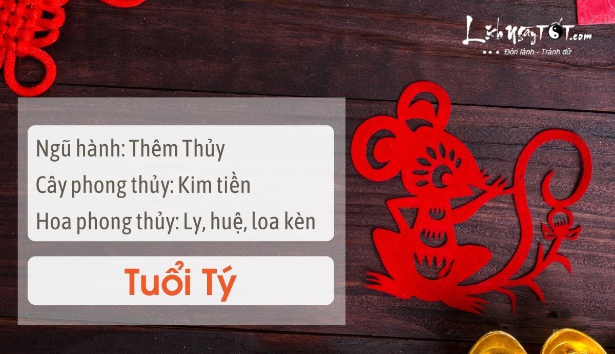 Meo phong thuy tang may man cho tuoi Ty