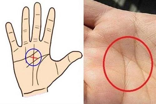 Mỗi đường chỉ tay có ý nghĩa riêng Moi duong chi tay co y nghia rieng