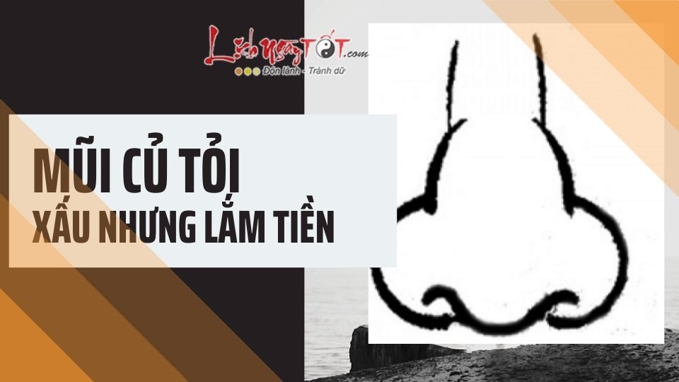 Mũi củ tỏi là gì, xấu xí nhưng lắm tiền Mui cu toi la gi, xau xi nhung lam tien