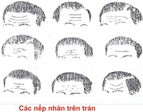 Hiểu đời hiểu người qua nếp nhăn trên mặt hình ảnh Hieu doi hieu nguoi qua nep nhan tren mat hinh anh