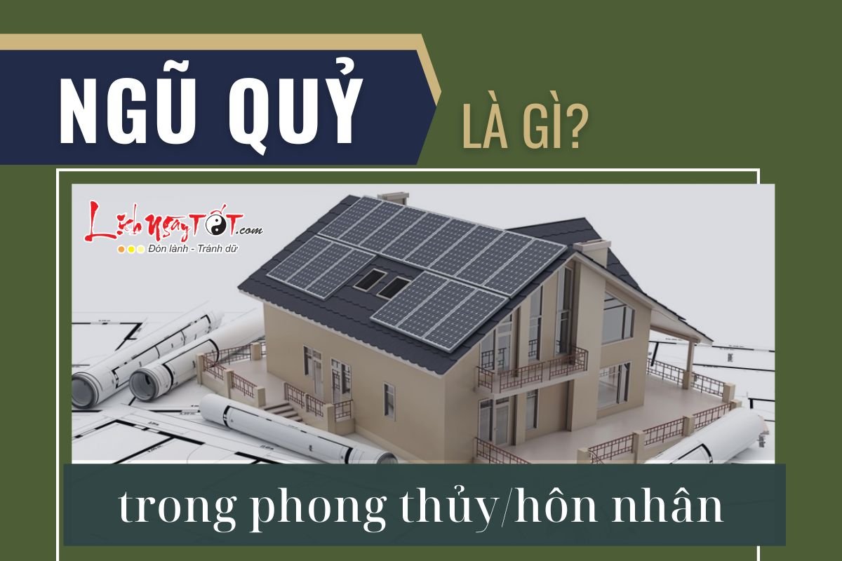 Ngu Quy la gi?