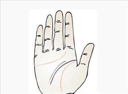 nguoi co 2 duong chi tay tri tue nguoi co 2 duong chi tay tri tue