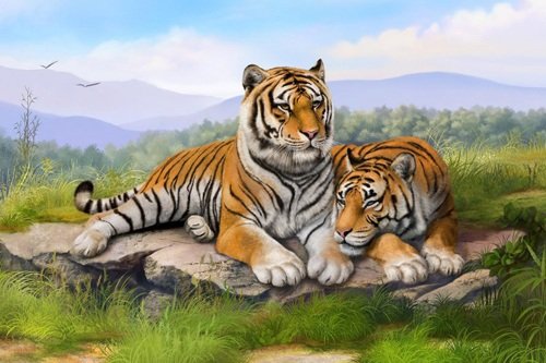 nguoi tuoi Dan tranh treo tranh hinh ho trong nha