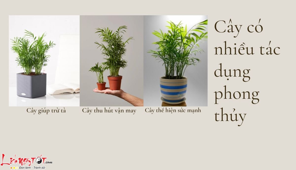 Tac dung cua Cau tieu tram phong thuy