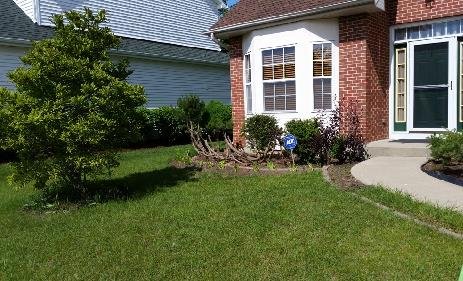 Nhung diem khong lanh trong phong thuy gia dinh nho hinh anh 2