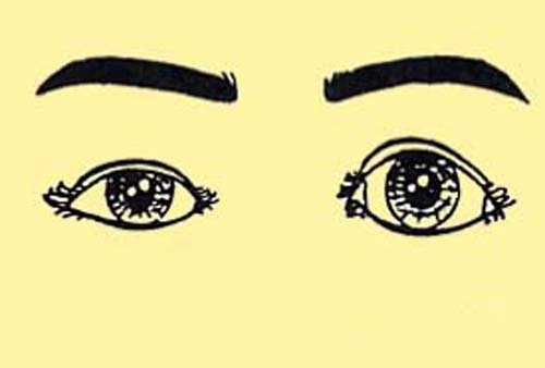 Phán tính cách nữ giới qua tướng mắt hình ảnh 4 Phan tinh cach nu gioi qua tuong mat hinh anh 4