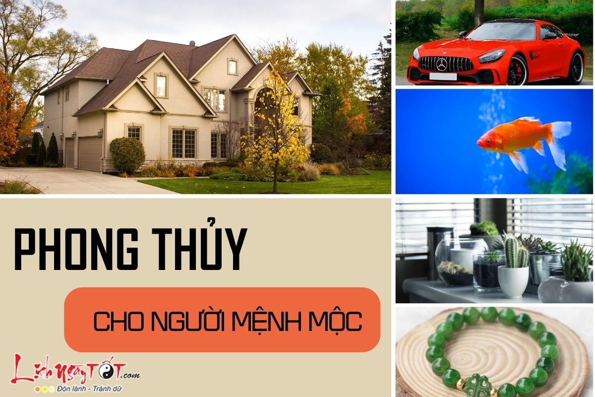 Phong thuy cho nguoi menh Moc