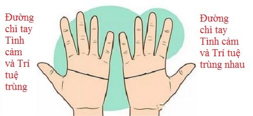 So đường chỉ tay Tình cảm để biết tình yêu của 2 bạn P2 hình ảnh gốc 2 So duong chi tay Tinh cam de biet tinh yeu cua 2 ban P2 hinh anh goc 2