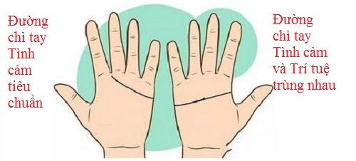 So đường chỉ tay Tình cảm để biết tình yêu của 2 bạn P2 hình ảnh gốc 3 So duong chi tay Tinh cam de biet tinh yeu cua 2 ban P2 hinh anh goc 3