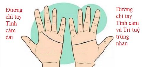 So đường chỉ tay Tình cảm để biết tình yêu của 2 bạn P2 hình ảnh gốc 4 So duong chi tay Tinh cam de biet tinh yeu cua 2 ban P2 hinh anh goc 4