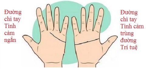 So đường chỉ tay Tình cảm để biết tình yêu của 2 bạn P2 hình ảnh gốc 5 So duong chi tay Tinh cam de biet tinh yeu cua 2 ban P2 hinh anh goc 5