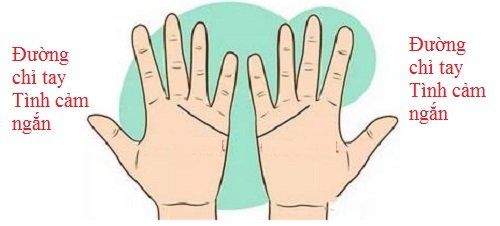 So đường chỉ tay Tình cảm để biết tình yêu của 2 bạn P2 hình ảnh gốc So duong chi tay Tinh cam de biet tinh yeu cua 2 ban P2 hinh anh goc