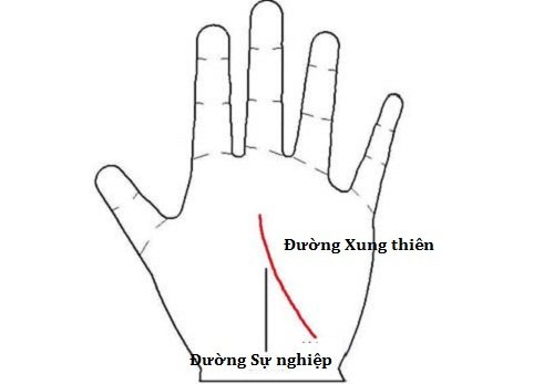 Soi tuong tay cua quy co co nguy co e dai hinh anh 2