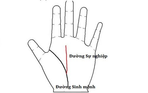 Soi tuong tay cua quy co co nguy co e dai hinh anh 2