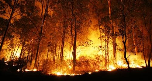 Su Tu noi gian nhu mot tran hoa hoan