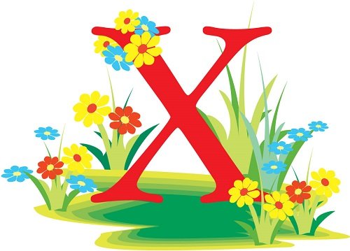 Tên vần X chọn thế nào cho tốt hình ảnh Ten van X chon the nao cho tot hinh anh