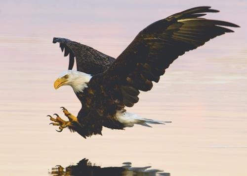 Than thu dai dien cho ngay sinh - Thu 5 - Dai bang