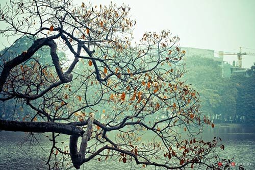 Tiết Đại Tuyết sương giăng, đông giá