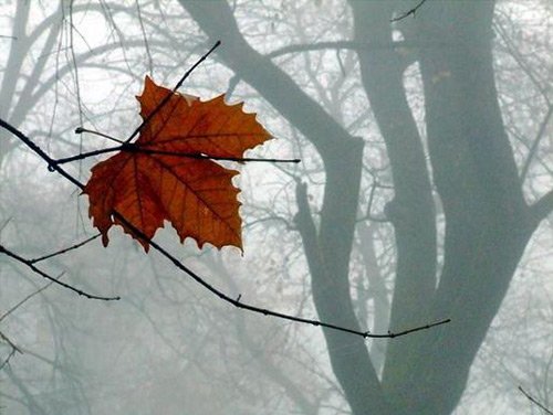 TIết khí Hàn Lộ thu chuyển sang đông