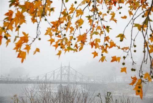 Tiet khi Tieu Tuyet la gi Tiết khí Tiểu Tuyết là gì?