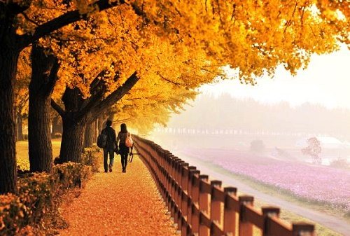 Tiết Thu Phân - Nửa mùa thu trôi qua hình ảnh Tiết Thu Phân - Nửa mùa thu trôi qua