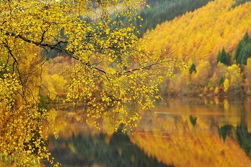 Tiết Thu Phân - Nửa mùa thu trôi qua hình ảnh Tiết Thu Phân