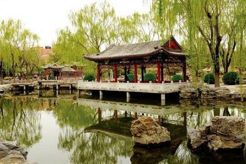 tieu dinh trong phu hoa than