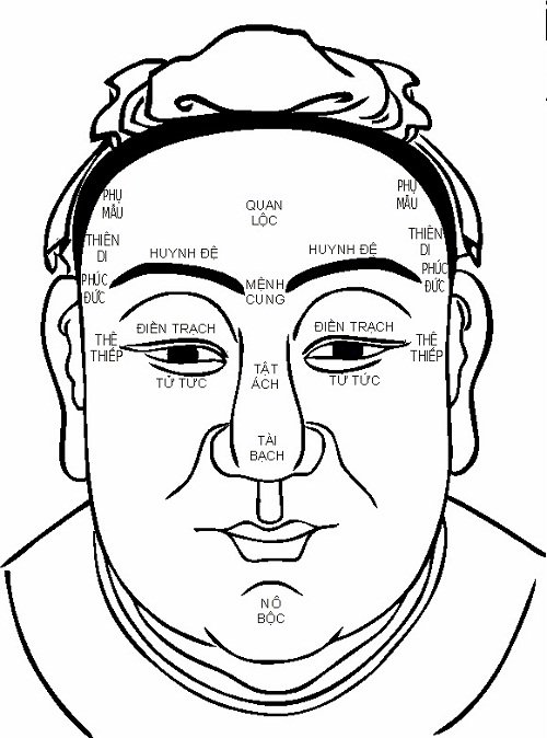 Tìm hiểu 12 cung trong tướng mặt hình ảnh Tim hieu 12 cung trong tuong mat hinh anh