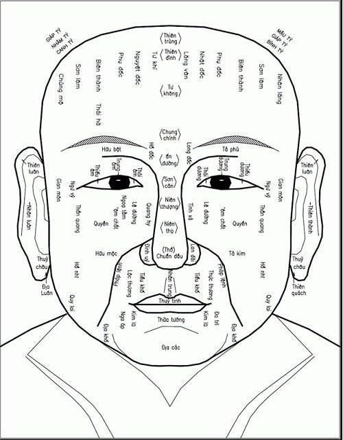 Tim hieu nhan tuong hoc la gi hinh anh