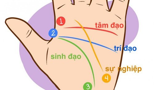 Tìm hiểu về thuật xem bói tướng tay hình ảnh 2 Tim hieu ve thuat xem boi tuong tay hinh anh 2