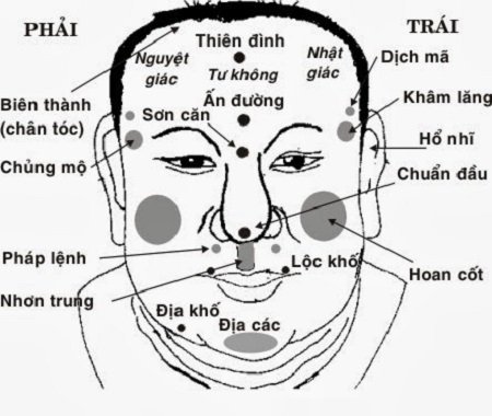 Tìm hiểu về tướng xương trong nhân tướng học hình ảnh Tim hieu ve tuong xuong trong nhan tuong hoc hinh anh