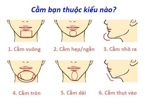 Trắc nghiệm Bạn thuộc tướng cằm nào dưới đây hình ảnh gốc Trac nghiem Ban thuoc tuong cam nao duoi day hinh anh goc