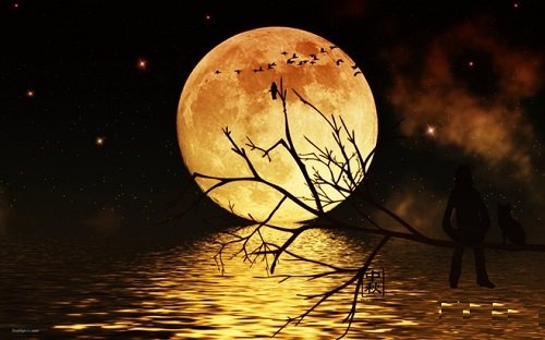 Trung Thu Thay doi phong thuy nha o, ruoc trang ruoc ca tai loc vao nha hinh anh