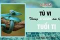 tu-vi-thang-22024-tuoi-ti-am-lich-vuong-van-quy-nhan-dat-duoc-dieu-minh-muon